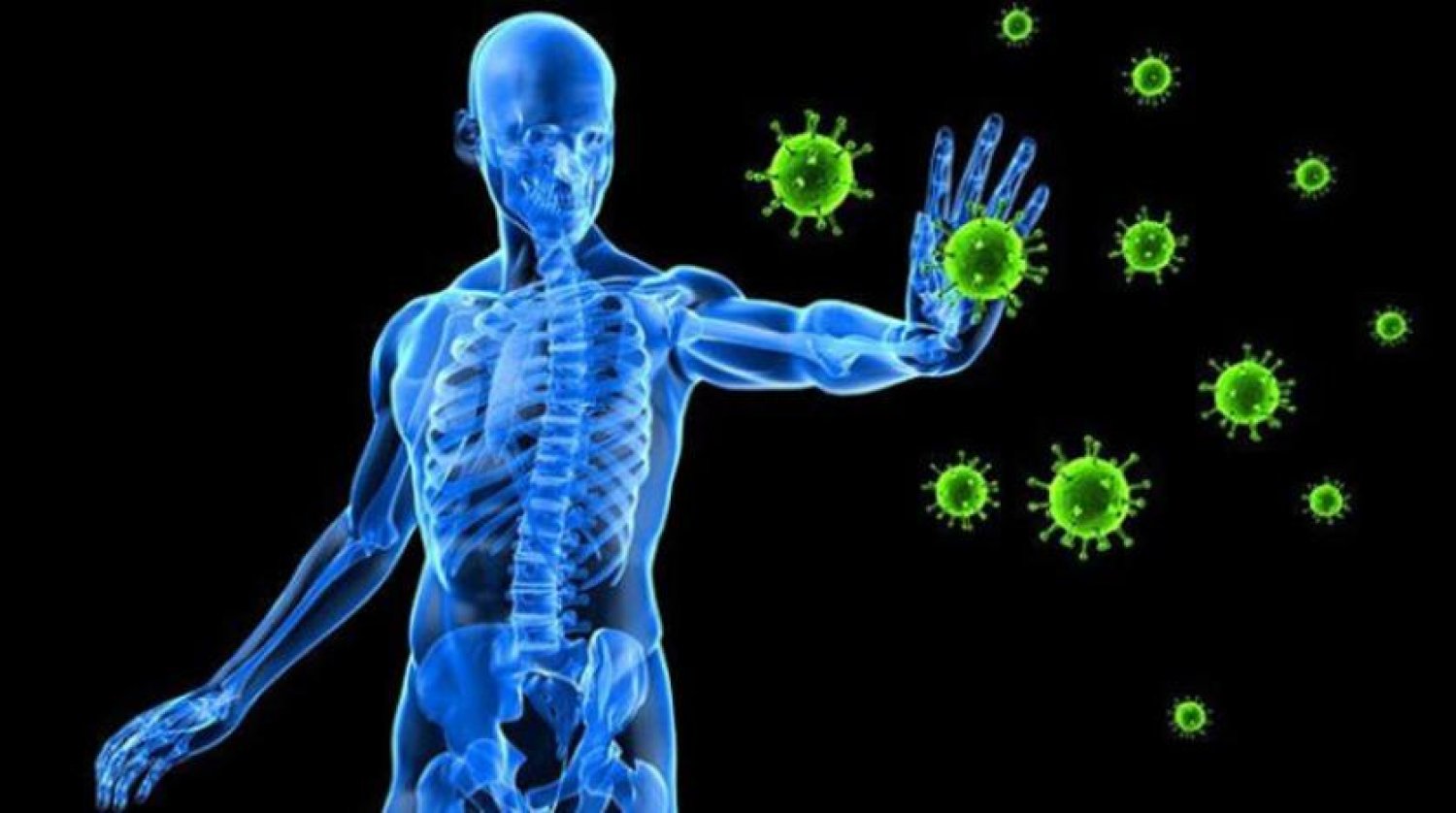 Bağışıklık sistemi koronavirüsü en az 6 ay hatırlıyor