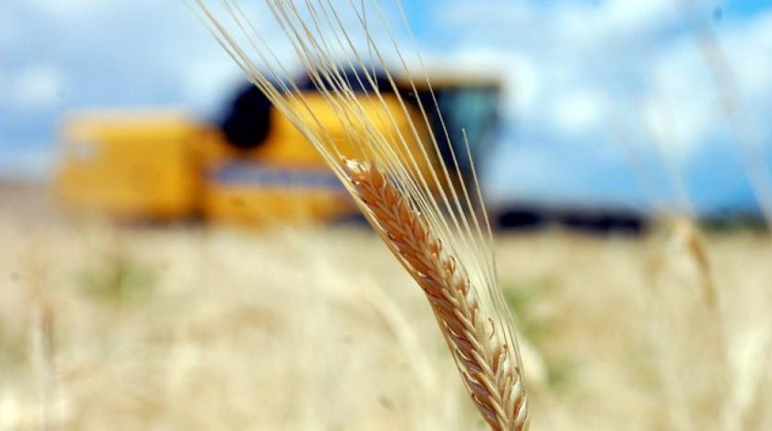 Tarım-GFE aylık yüzde 3,23 arttı