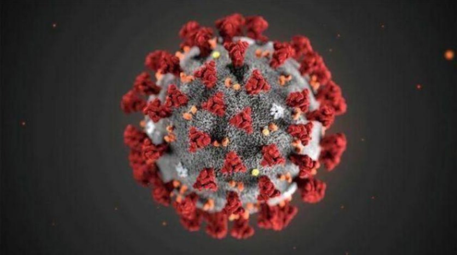 Koronavirüsün özelliklerini gösteren detaylı bir görüntüsü (ABD Hastalık Kontrol ve Önleme Merkezi)
