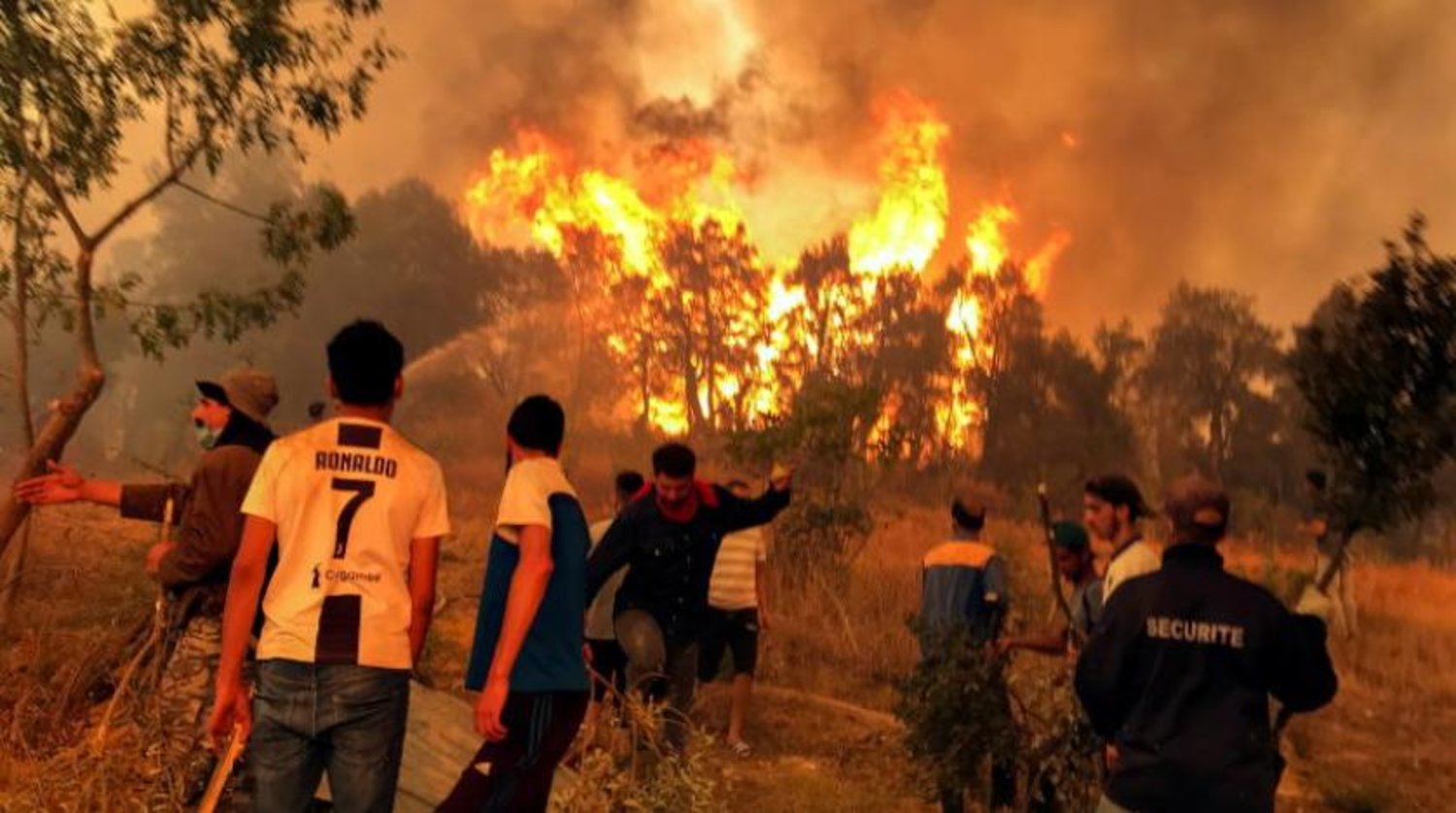 Cezayir’in doğusundaki dağlık Kabiliye bölgesinde orman yangınını söndürmeye çalışan insanlar (Reuters)