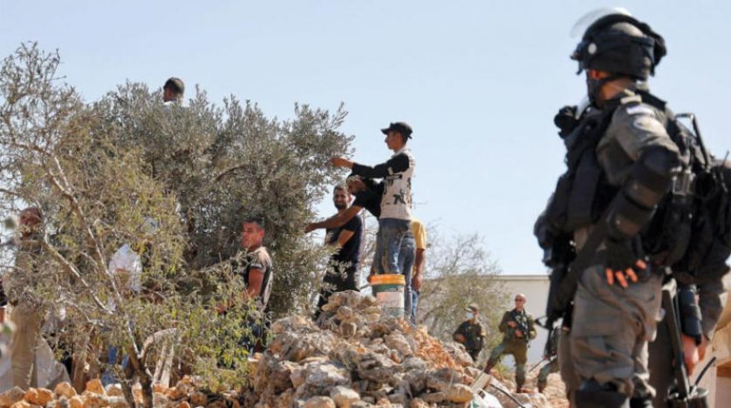Filistin’de zeytinliklere yönelik yerleşimci saldırıları başladı