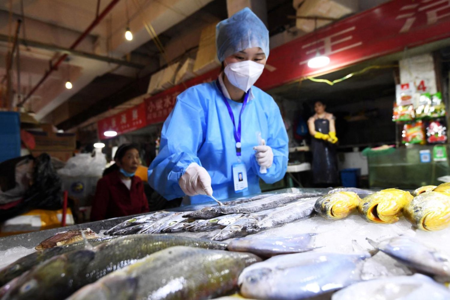 Balıklara test yapılması sosyal medyada yankı uyandırdı (Reuters/Arşiv)

