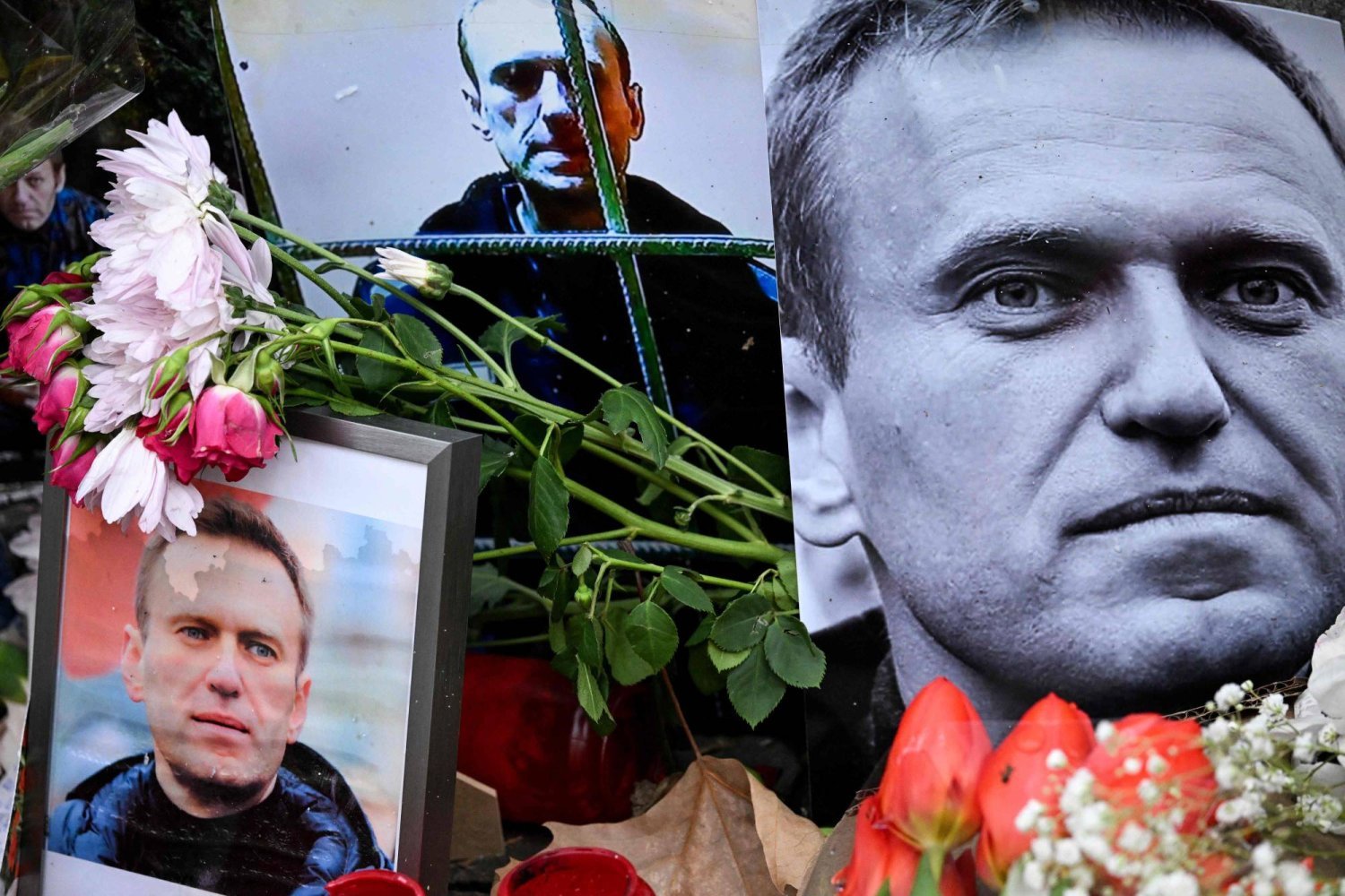 Kuzey Kutbu'ndaki bir Rus hapishanesinde ölen merhum Rus muhalefet lideri Aleksey Navaln'nin 23 Şubat 2024'te Almanya'nın Frankfurt kentinde eski Rus konsolosluğunun önündeki derme çatma anıtta çekilen fotoğraflarının etrafına çiçekler yerleştirildi (AFP)