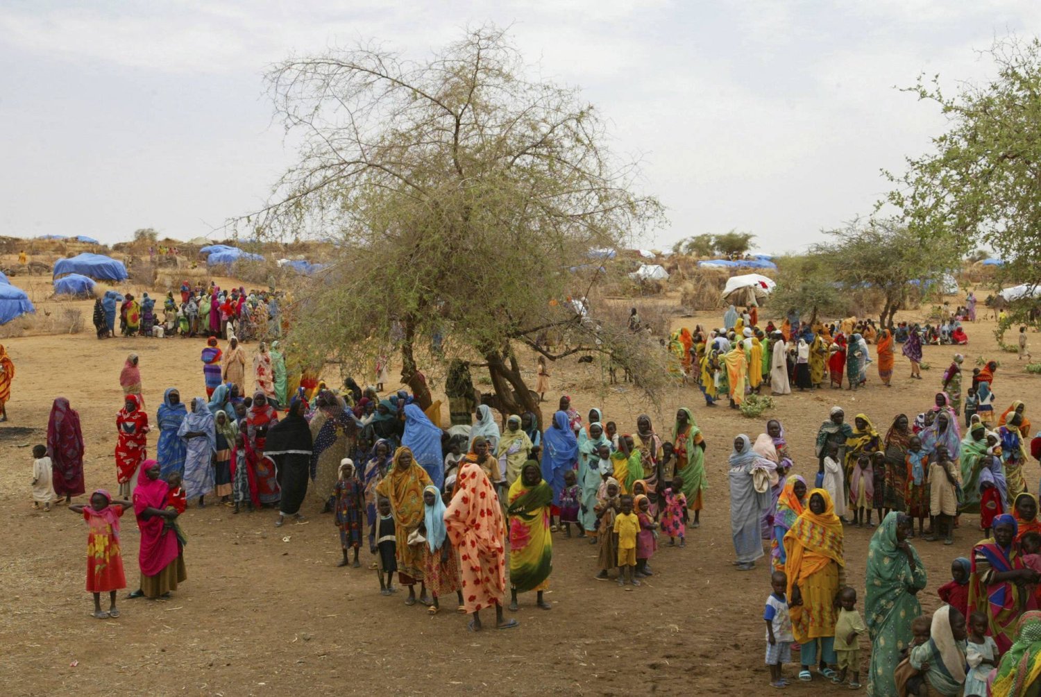 Darfur El Fasher'in dışında Zemzem kampındaki Sudanlı mülteciler  (AP)