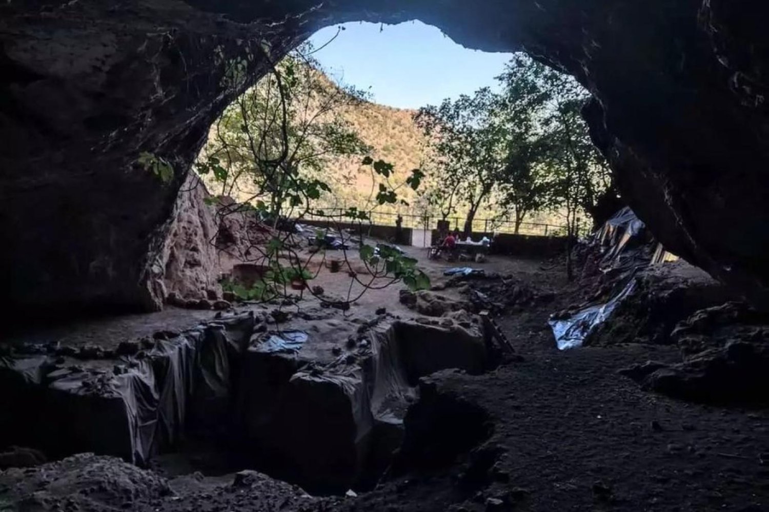 Fas'taki Taforalt mağarısından çıkarılan kalıntılar, beslenme alışkanlıklarına ışık tutuyor (Abdeljalil Bouzouggar) 